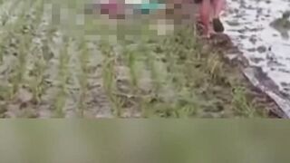 Ibu dan Anak di Bojonegoro Tewas Tersengat Jebakan Tikus