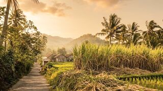 Golden Hour Village Bliss