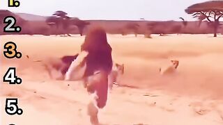 5 compilations of hilarious, laugh-out-loud videos