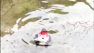 Funny fish 3