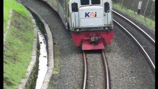 Train with green grass