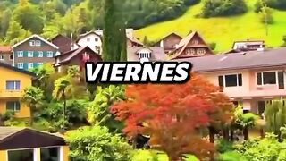 Diario 106