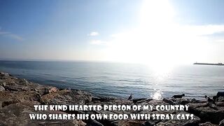 Every time this video is viewed, I will be able to lend a helping hand to one more stray cat.