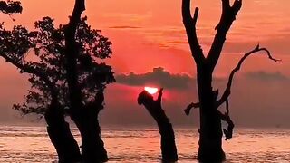 Natural beauty, beautiful sky