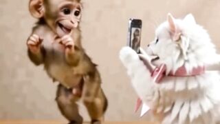 Monkey dance 😍