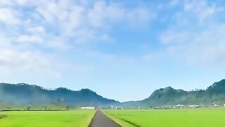 Beautiful nature 381