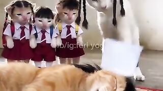 Real life cat family