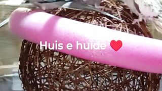 Huis e huide ♥️ 93