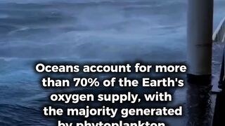 How the Ocean Produces Most of Earth's Oxygen! 🌊💨
