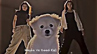 Gaadi Kali Mai 🤯😍💗💝👑😁