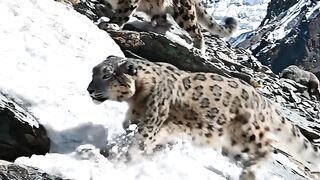Part 2 28