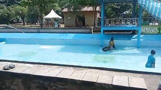 Berenang 11