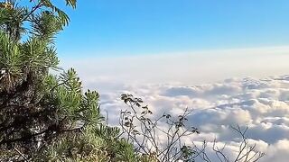 beautiful view 20