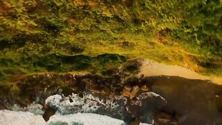 Legendary Warrior: Be Fearless In 90 Days | NaveenTechTalks | n4ve4nx00