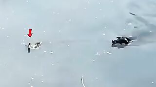 The duch out Smart 🤓👍🏻 two dogs 🐕🐶