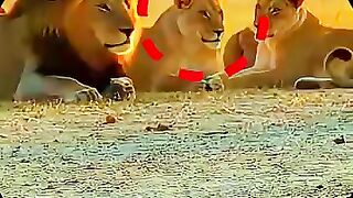 No fear 😨😮😮