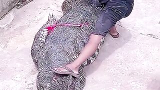 MUGBANG BUAYA VIRAL