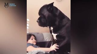 Os 20 maiores animais do mundo