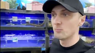 ????Ох и Собаки Женского рода