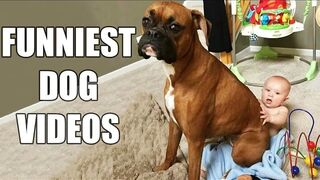 Funny dogs???? and cats???? videos 2023????????Bes Animal Videos Of The Month PT2????