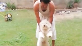 My cute dog video in my House