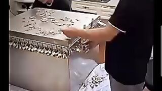 Very funny video watch ????????