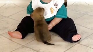 Cute baby with cute and small puppy