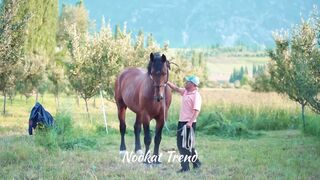 Nookat and video