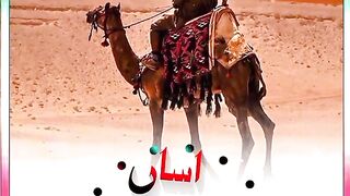Faqeer log
