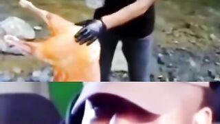 funny video short 39
