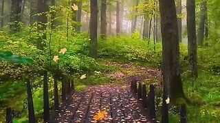 Beautiful nature | Febspot nature | subscribe