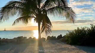 A beautiful view