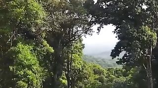 A beautiful view