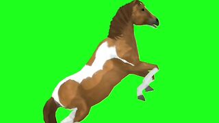 Green screen animated horse 2023