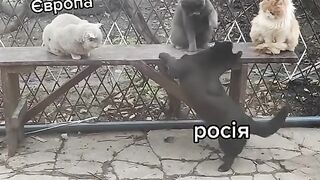 Прикол
