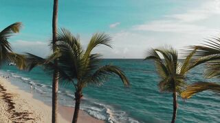 Nature video