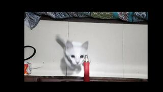 Snow bell best jump