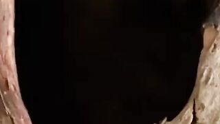 This video is very interested in your life