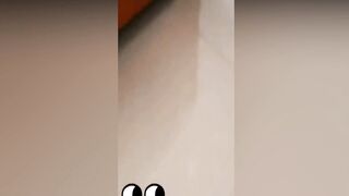 Funny cats