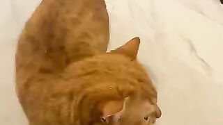 Cat moment ❤️😻