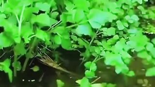 Masak di pinggir kali