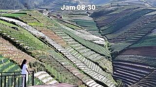 Beautiful view 159