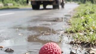 Lychee Fruit Growth in Real Time | From Tiny Fruit to Ripe Red Lychee 🌱🔴