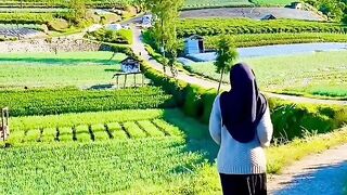 Premium magelang