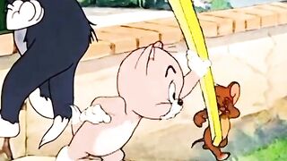 Professor Cat Tried To Teach Mouse Hunting… HIS STUDENT DID THIS INSTEAD! 🎓🐭 (Epic Fail)