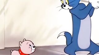 Two Cats Tried To Catch ONE Mouse… AND DESTROYED EACH OTHER! 😹💥🐭 (Epic Friendly Fire)