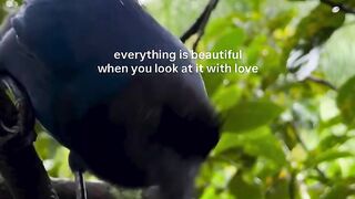 EVERYTHING IS BEAUTIFULL WHEN YOU LOOK AT LOVE