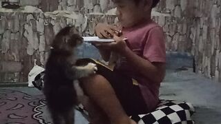 Little boy and his funny cat