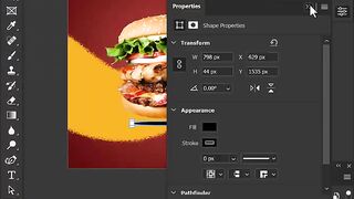 Illustrator work
