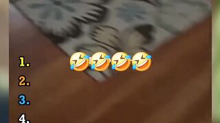 Ranking Best Pets Voice Over.
